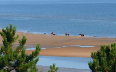Bord de mer