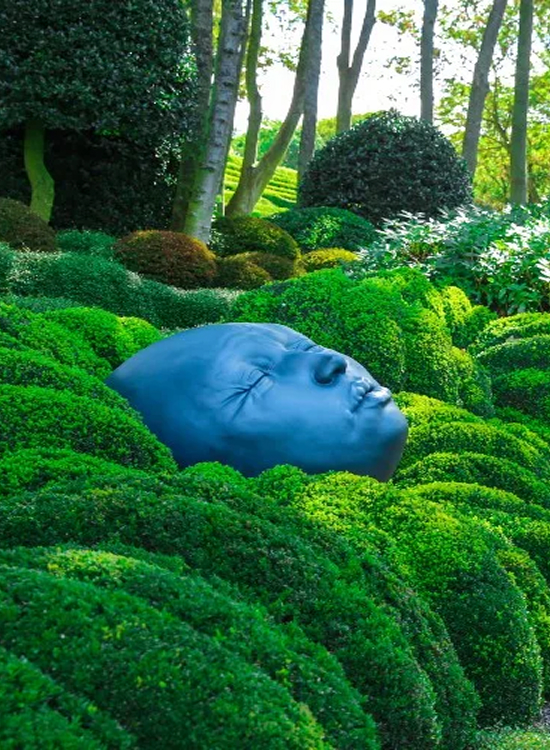Nature